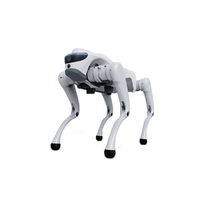 Sidee Robot-ka afar-laaban ah u beddeli karaa Codsiyada Warshada iyo Caqliga Casriga ah?