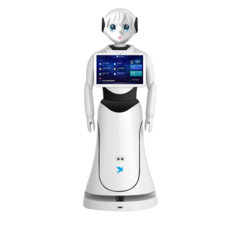Soo Dhawaynta Martida Madax-banaan Robot