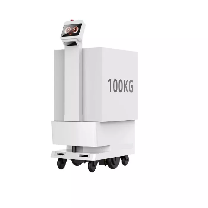 Gaadhida Robot