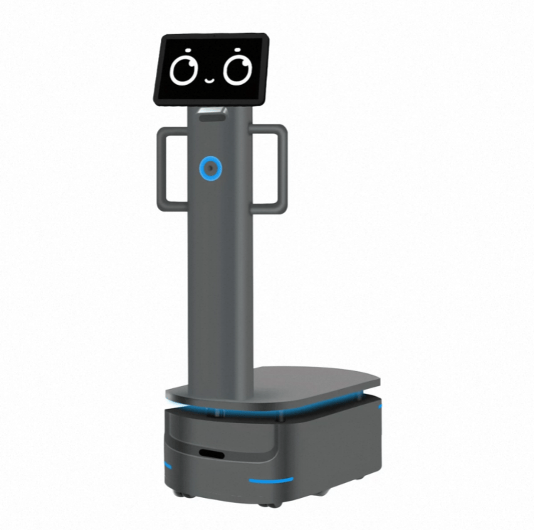 Robot-ka Mushaarka Culus ee Gaadhsiinta Warshadaha