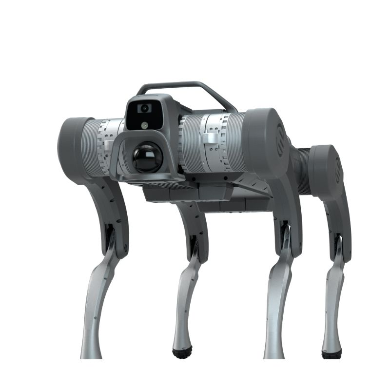 Isha Furan ee Robot Quadruped