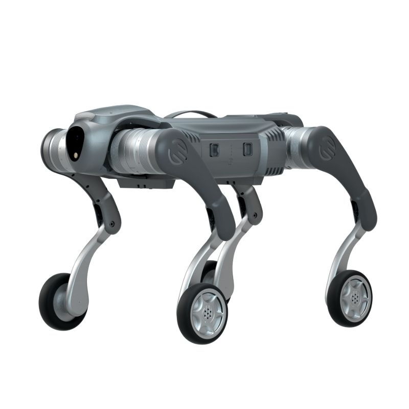Robot-ka Robot-ka-lugaha-lugaha leh